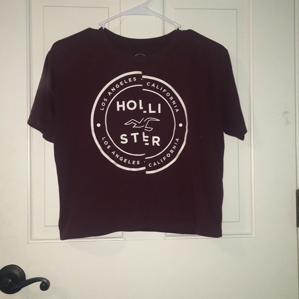 Cropped hollister graphic tee